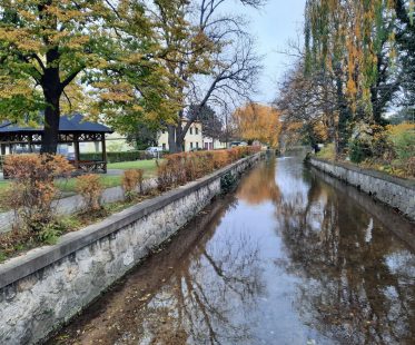 Bild1